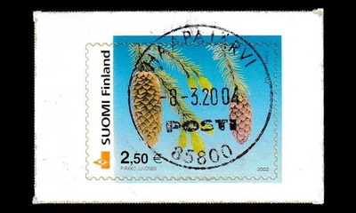1598 o Kuusi loisto Haapajärvi 8.3.04 (2002)