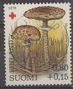 1978 PR 80p lähes  loisto Turku -78