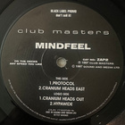 [12''] MINDFEEL: CRANIUM HEADS OUT (Progressive house) - pikkukuva 2