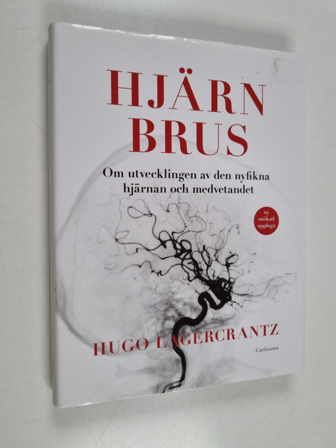 Hjärnbrus - om utvecklingen av den nyfikna hjärnan och me...