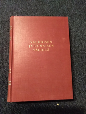 Edwin Erich Dwinger: Valkoisen ja punaisen välillä