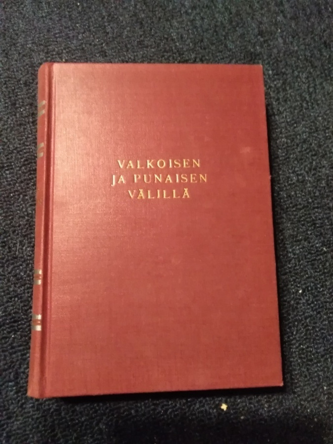 Edwin Erich Dwinger: Valkoisen ja punaisen välillä