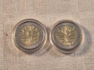 2 euroa, v. 2004, 2 kappaletta risurahoja