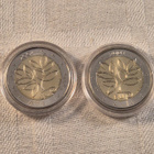 2 euroa, v. 2004, 2 kappaletta risurahoja - pikkukuva 1
