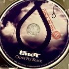TAROT: Crows Fly Black. * FIN 2006 - pikkukuva 3