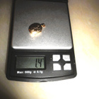 14K kultainen medaljonki 23mm - pikkukuva 5