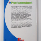 Sharon Siamon : Preerian mustangit - pikkukuva 2