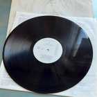 Eurythmics : LP Savage (1987) - pikkukuva 2