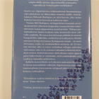 Deborah Rodriguez : Kabulin kauneuskoulu - pikkukuva 2
