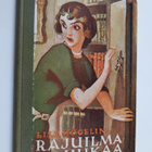 Lisa Högelin : Rajuilma uhkaa : kertomus tytöille - pikkukuva 1