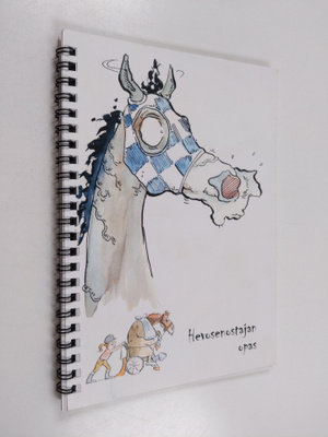 Anna Perho : Hevosenostajan opas