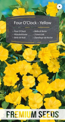 Mökinihmekukka "Four O’Clock – Yellow" - siemenet #