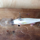 Rapala Deep Runner 5 Ireland - pikkukuva 4
