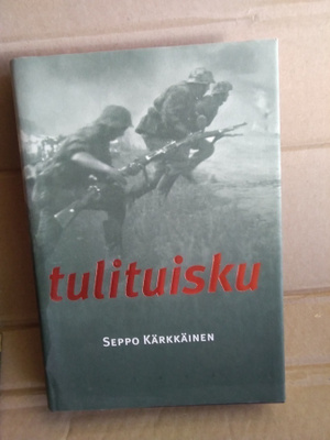 Seppo Kärkkäinen: Tulituisku