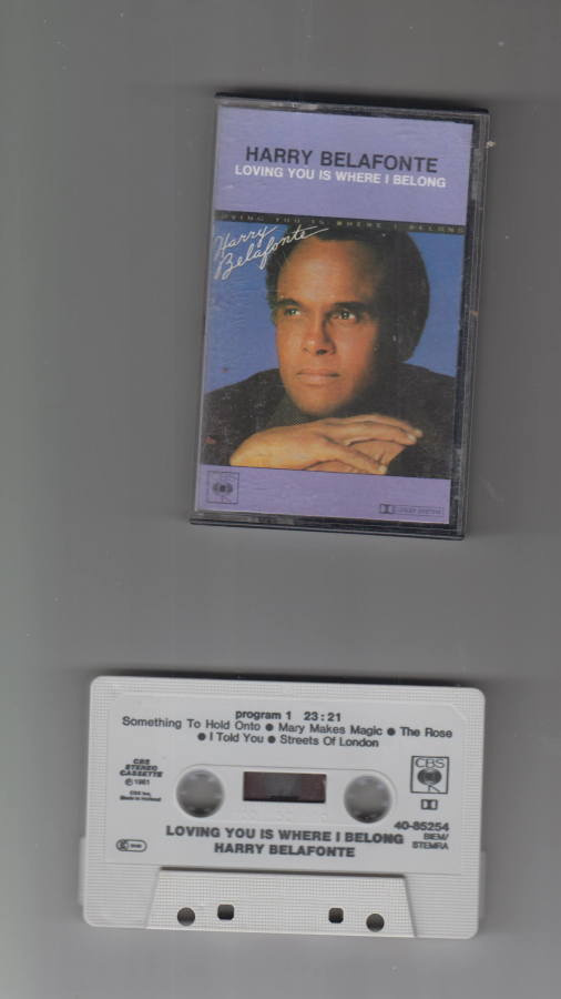 HARRY BELAFONTE  -  LOVING YOU IS WHERE I BELONG
