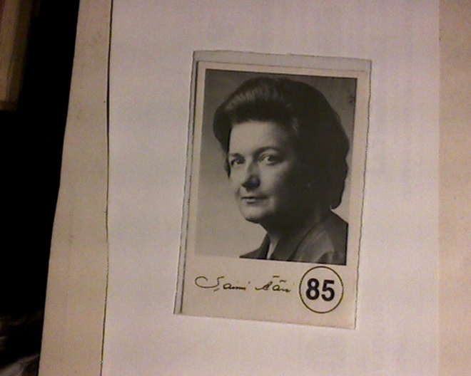Saimi Ääri, Punkalaidun, vaalit 1965, 1968 ja 1983.