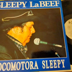 Sleepy LaBeef LP - pikkukuva 1
