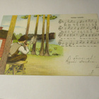 Honkain keskellä - np 1908 - pikkukuva 1