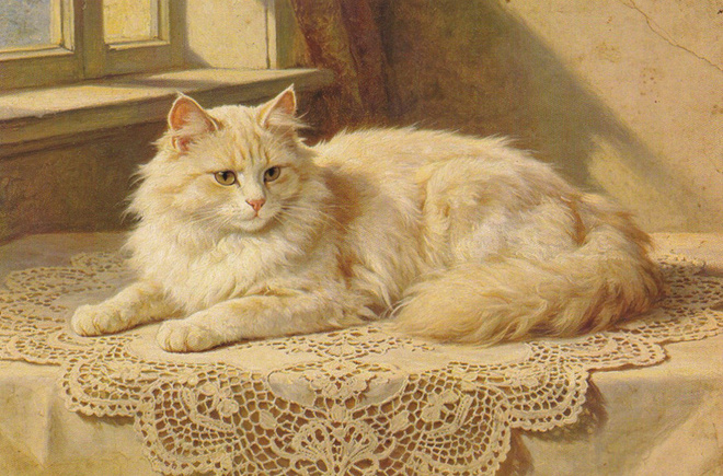 Kissa kortti