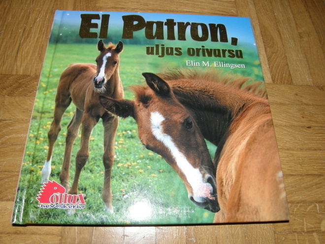 Ellingsen El Patron, uljas orivarsa