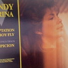 SANDY FARINA ::TEMTATION/FLY BOY FLY/SUSPICION::VINYYLI 12" - pikkukuva 2