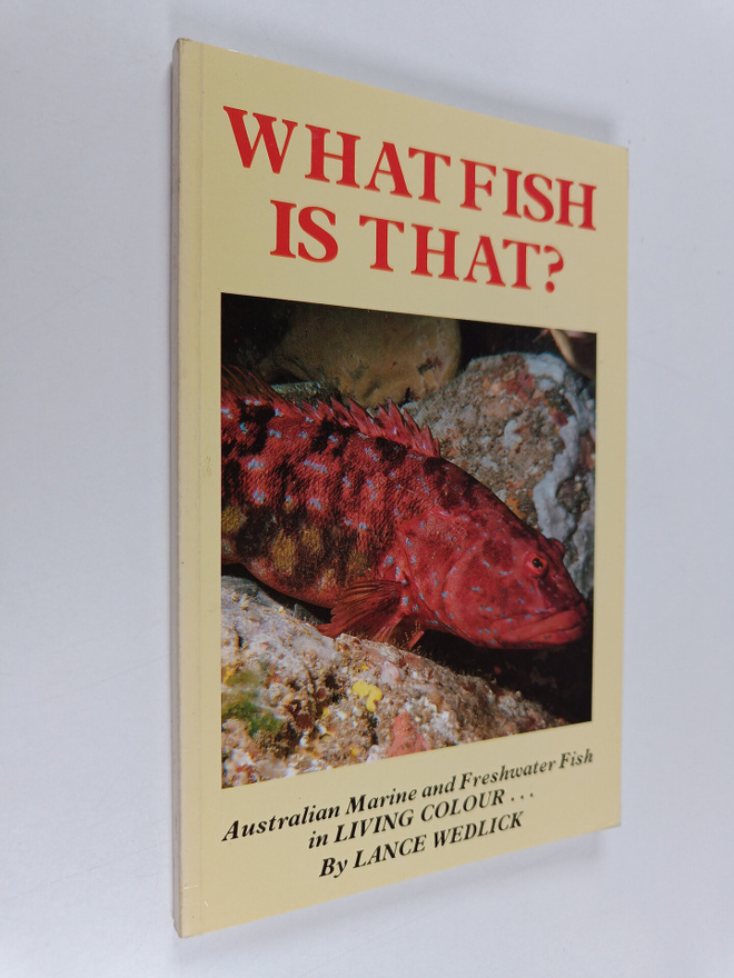 What fish is that?