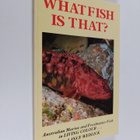 What fish is that? - pikkukuva 1