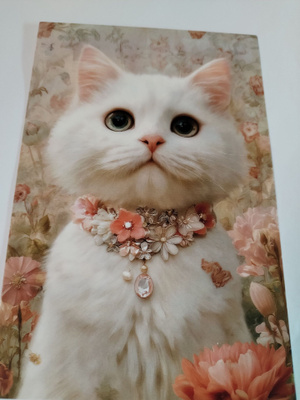 Kissa kortti,kulkematon.