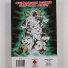 Yoshihiro Takahashi : Noah 1 : Legend of Silver Fang - pikkukuva 2