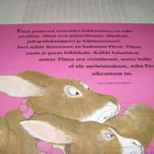 Gretz Pörrö on kadonnut - pikkukuva 2