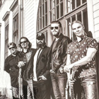Wentus Blues Band - Lucky Strike Mama uudenveroinen cd-levy - pikkukuva 4
