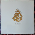 Urban Cone – Our Youth vinyyli 2LP - pikkukuva 1
