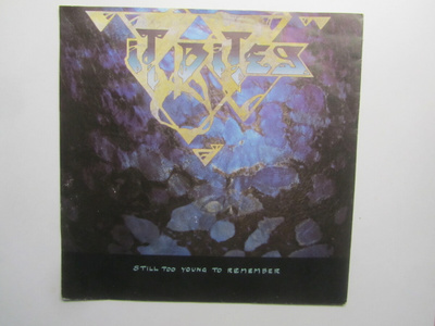 It Bites: Still Too Young To Remember 7" single 1989