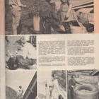 Karjatalous n:o 10 1970 Toimiiko lypsykoneenne oikein. - pikkukuva 4