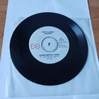 Terttu Anneli Uhlenius – Kakskymmentä Suvea 7" orig -76 uusi - pikkukuva 1