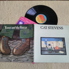 CAT STEVENS - Teaser And The Firecat LP - pikkukuva 1