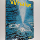 Whales : posterbook - pikkukuva 1