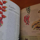 Julian Davison & Bruce Granquist:Balinese Flora & Fauna.Sid. - pikkukuva 3
