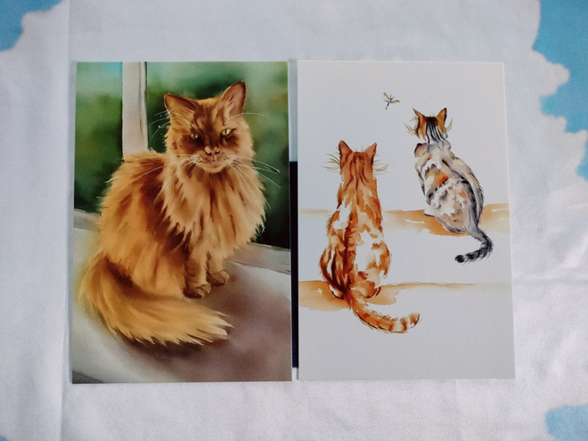 ~Kissa kortti~ 2kpl