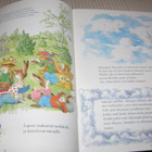 Luontopolun varrella - pikkukuva 2