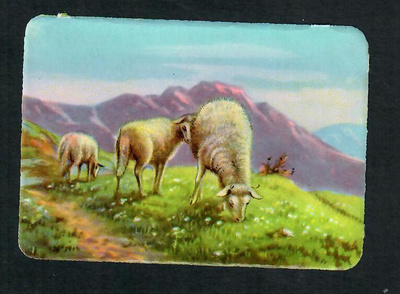 EAS 3011 - Nelkku - Lampaat - 1950-luvulta!!!