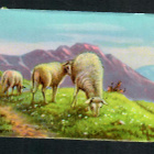 EAS 3011 - Nelkku - Lampaat - 1950-luvulta!!! - pikkukuva 1