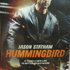 HUMMINGBIRD/KOLIBRIT - LINNUT DVD - pikkukuva 1