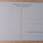 Riika, Mustapäiden talo, vanha väripk, ei p. - pikkukuva 2