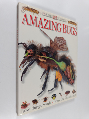 Miranda MacQuitty : Amazing bugs