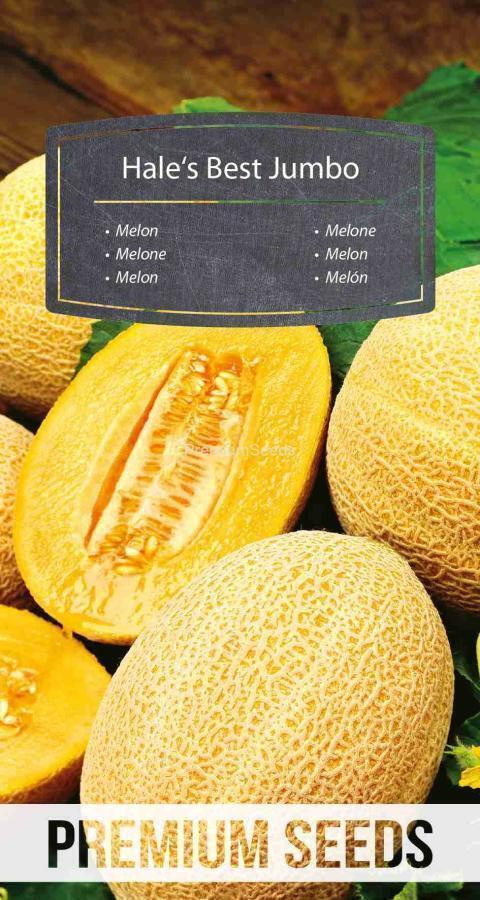 Meloni "Hale’s Best Jumbo" - siemenet #