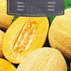 Meloni "Hale’s Best Jumbo" - siemenet # - pikkukuva 1