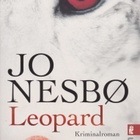 Jo Nesbö: Leopard - pikkukuva 1