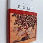 Dzalaladdin Rumi : Rakkaus on musta leijona - pikkukuva 1