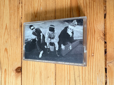 Beastie Boys - Check Your Head